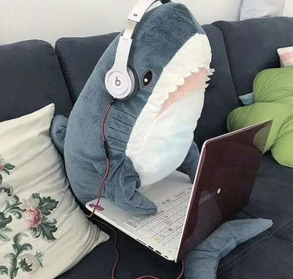 blåhaj at work