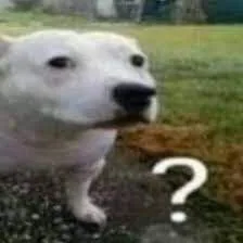 open question