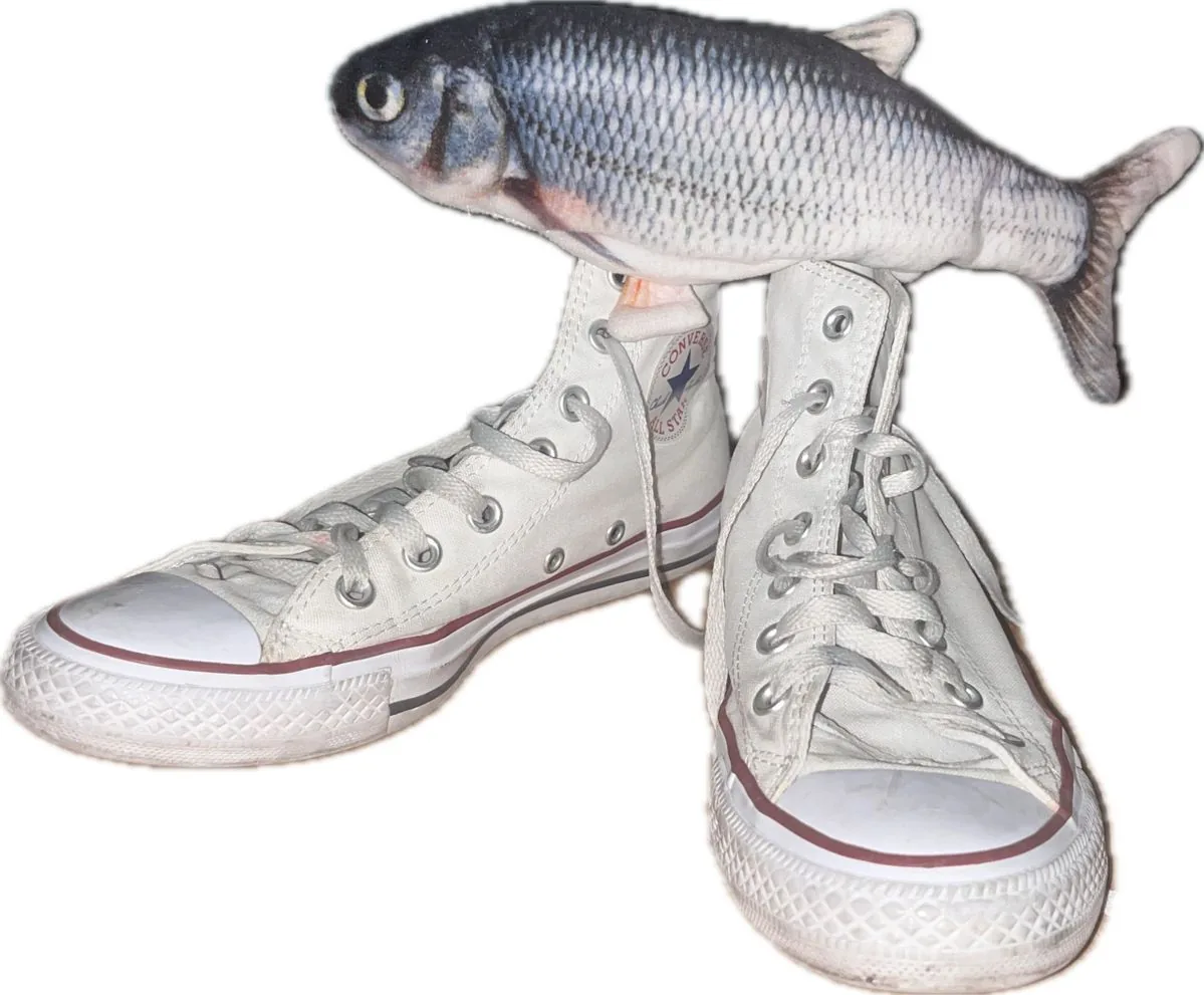 fish shoes. no notes.