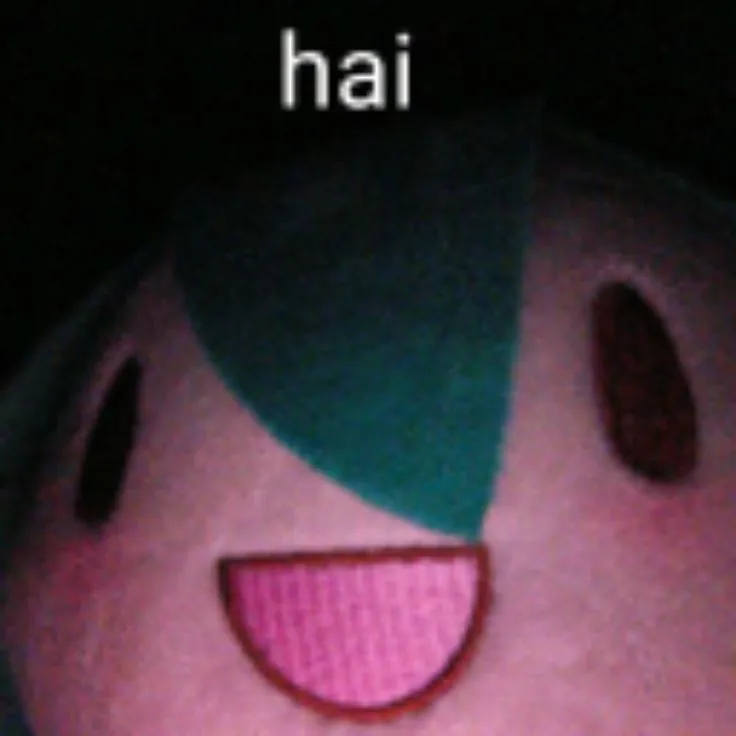 hai